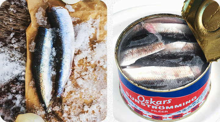 Сюрстрёмминг из норвежской рыбы и сюрстрёмминг, шведское лакомство из сельди